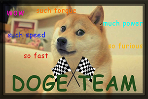 Doge Team