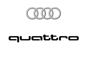 Audi Lidl Team